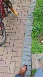 suitdogLsheers webcam cam4 model stream image