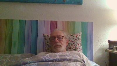 Leafars webcam cam4 model stream image