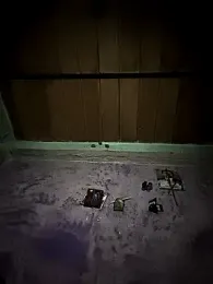 Cositarica_69 webcam model stream image