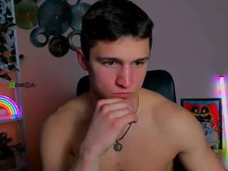 elion-flip webcam model stream image