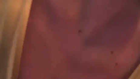 Amanda_River webcam model stream image