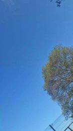 notarealman2025 webcam model stream image