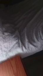 Trompa17 webcam model stream image