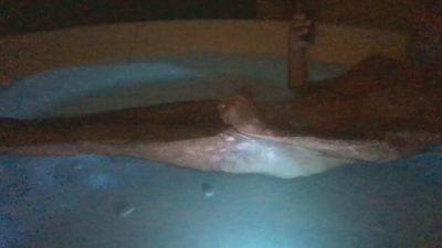 mattiapxxx webcam model stream image