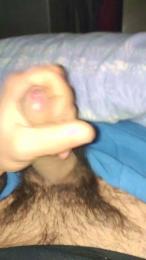 Vittosto webcam model stream image