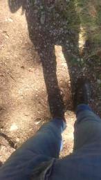 wolfi80 webcam cam4 model stream image