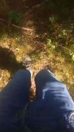 wolfi80 webcam cam4 model stream image