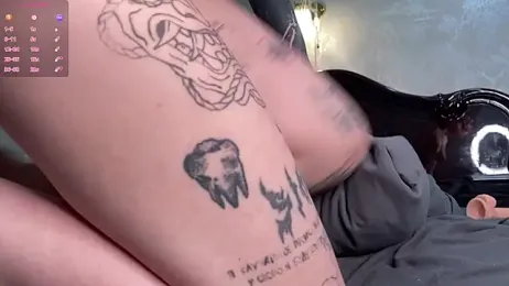 MeowMixer webcam model stream image