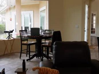 rndmzd webcam model stream image