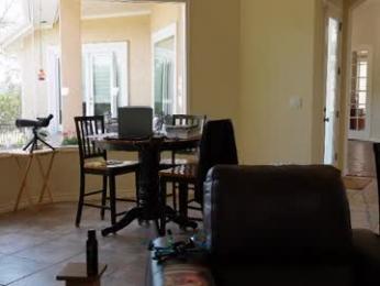 rndmzd webcam model stream image