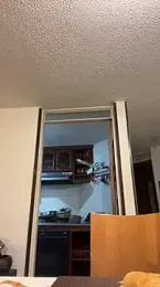 toritoga webcam stripchat model stream image