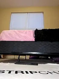 AmethystFoxx webcam model stream image