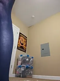 AmethystFoxx webcam model stream image