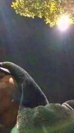 Sexylatinogay webcam model stream image