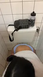 latingangsex webcam stripchat model stream image