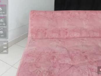 vida_web webcam model stream image