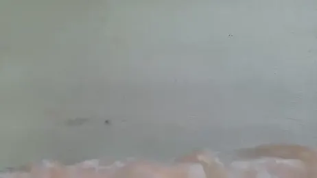 ElaRuil69 webcam model stream image