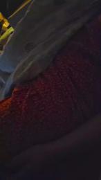 Mellame webcam model stream image