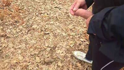 Cuni40 webcam cam4 model stream image