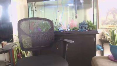 Latinlover513 webcam model stream image