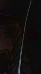 Latinlover513 webcam model stream image