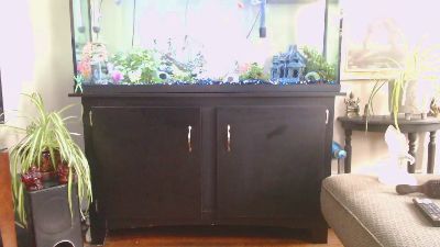 Latinlover513 webcam model stream image