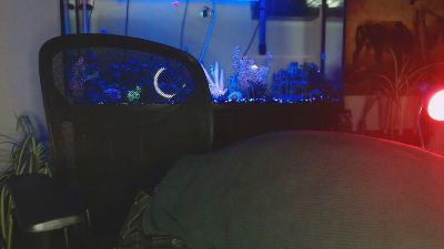 Latinlover513 webcam model stream image