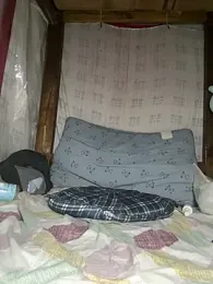 daaqnn webcam stripchat model stream image