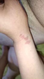 Lafigona webcam cam4 model stream image