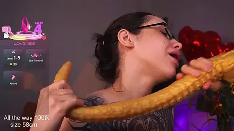 EvaCanton webcam model stream image