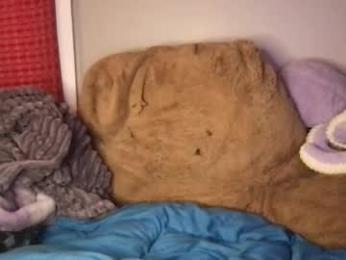 ayyo222 webcam model stream image