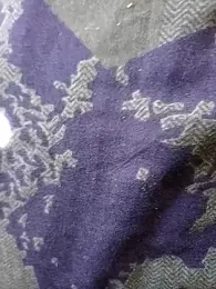 INDIANDESIMATURE webcam model stream image