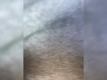 ____- webcam model stream image