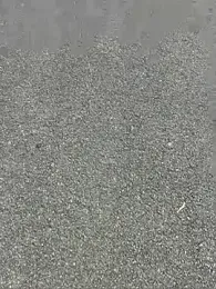 portostrip webcam model stream image