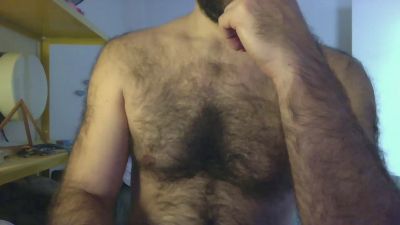 maestroy webcam model stream image