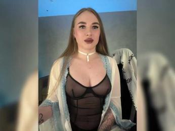 Havvyer webcam model stream image