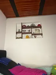 hotwife26 webcam model stream image