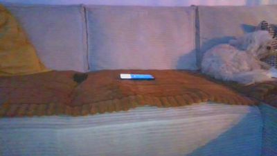 Loriginal32 webcam cam4 model stream image