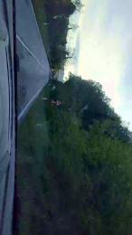 Rmark37 webcam model stream image