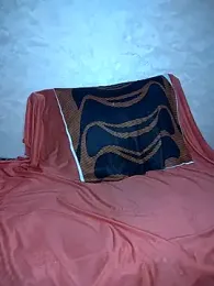 Dalou3a-69 webcam model stream image