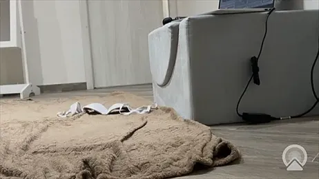 lavogliosaa webcam stripchat model stream image