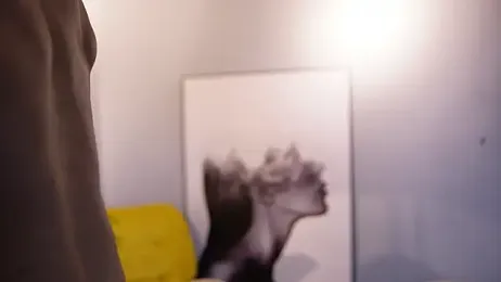 TianBrooks webcam model stream image