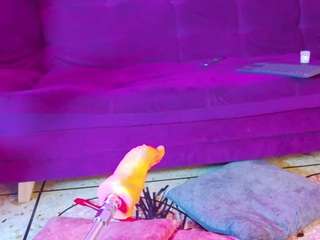 daliana-gounbolt webcam model stream image