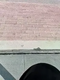 oneeyedwonder96 webcam stripchat model stream image