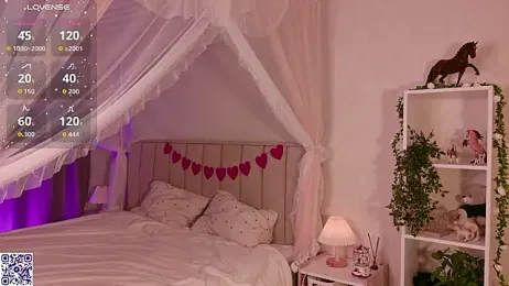 LeraKit webcam model stream image