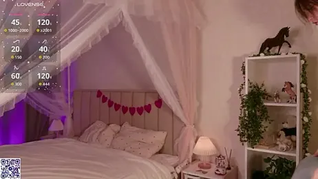 LeraKit webcam model stream image