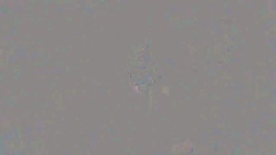 spain_worker webcam model stream image