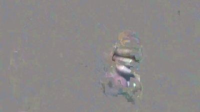 spain_worker webcam model stream image