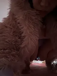 wy2026 webcam model stream image