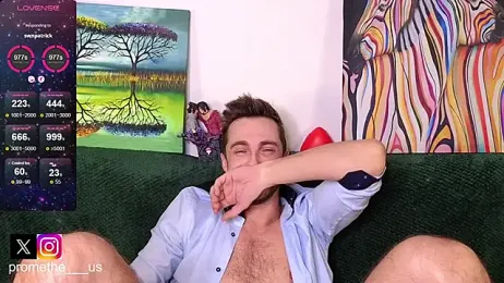 Promethe_us webcam model stream image